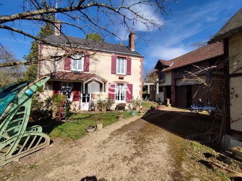 photo no. 10