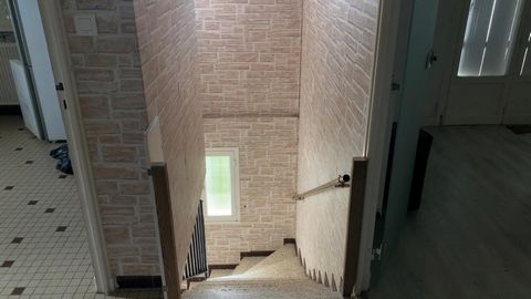 photo no. 12