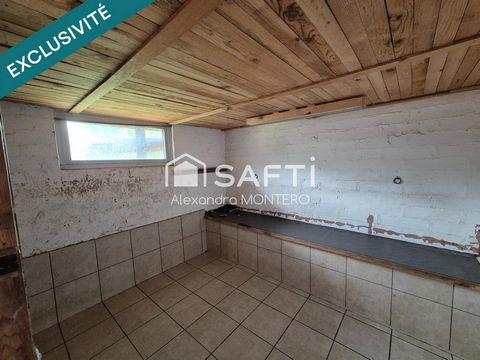 photo no. 12