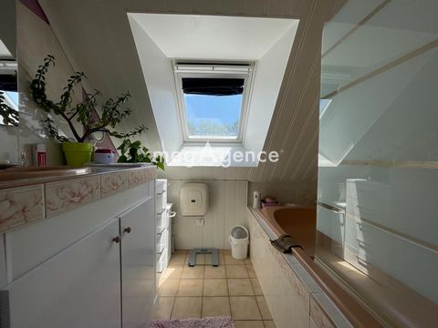 photo no. 6