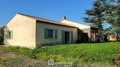 photo no. 12