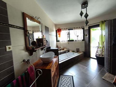 photo no. 15