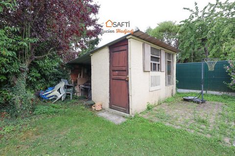 photo no. 18