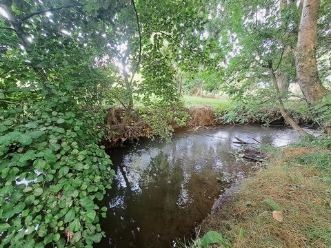 photo no. 12