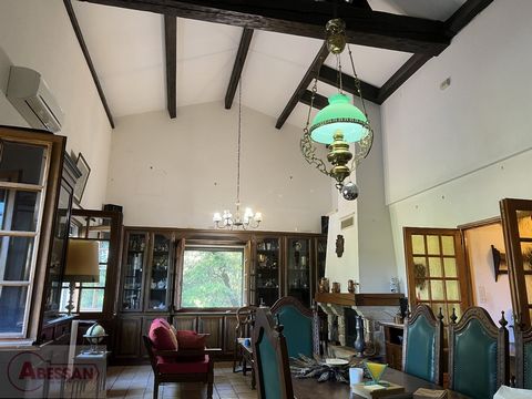 photo no. 4