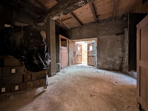photo no. 15