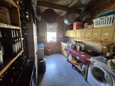 photo no. 12