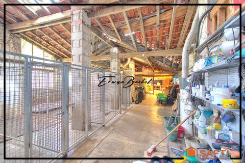 photo no. 13