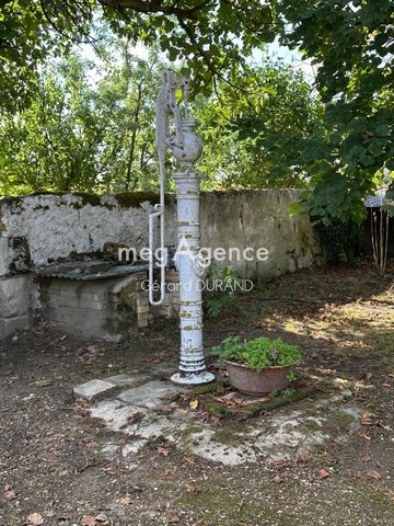 photo no. 10