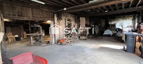 photo no. 10