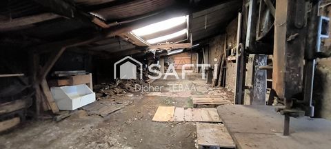 photo no. 11
