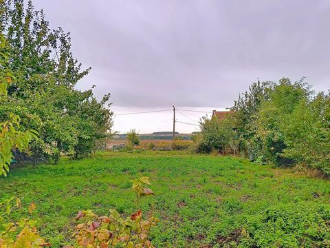 photo no. 1