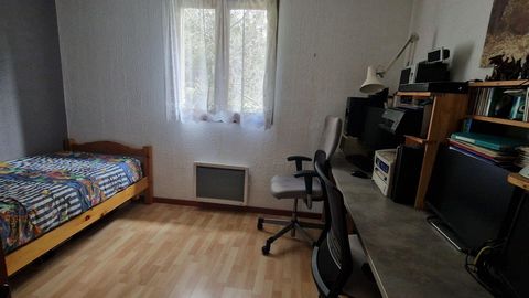photo no. 11