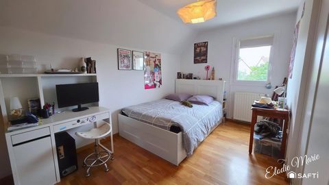 photo no. 13