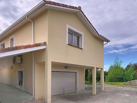 photo no. 11