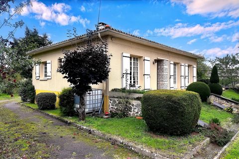 photo no. 2