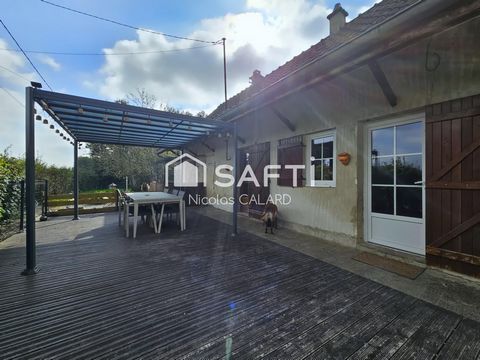 photo no. 10
