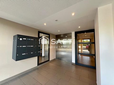 photo no. 11