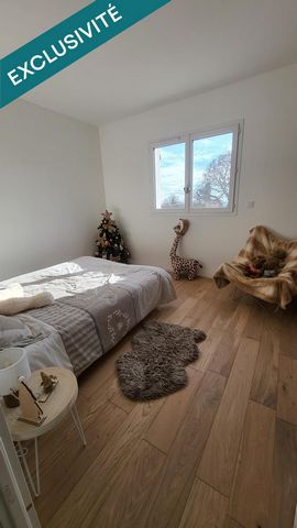 photo no. 6
