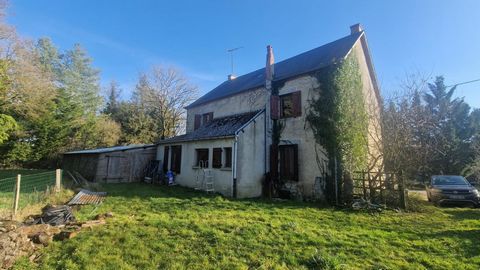 photo no. 13