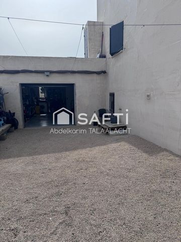 photo no. 12