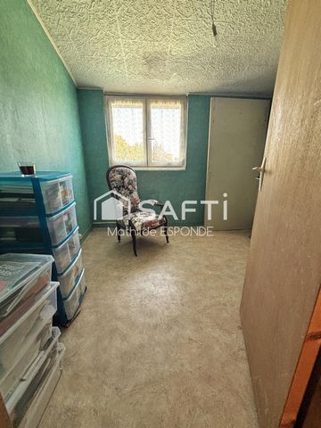 photo no. 15