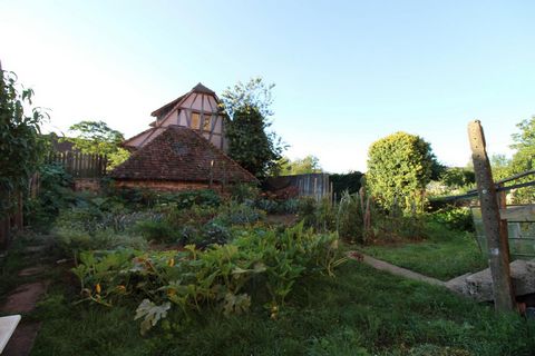 photo no. 11