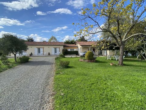 photo no. 5