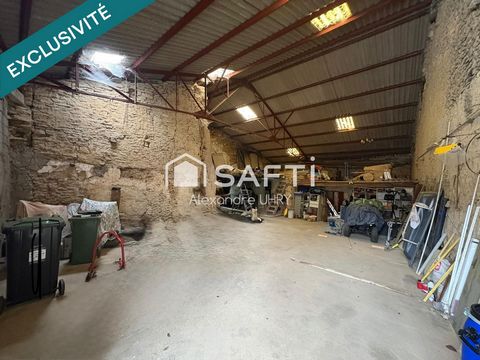 photo no. 5