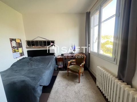photo no. 8