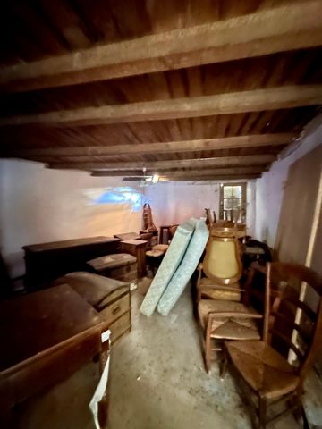photo no. 12