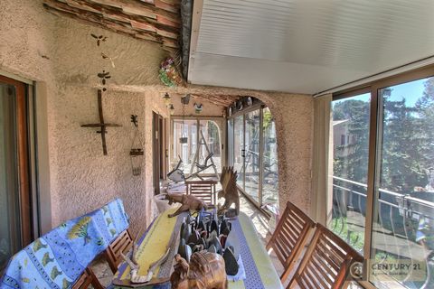 photo no. 11
