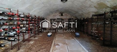 photo no. 12