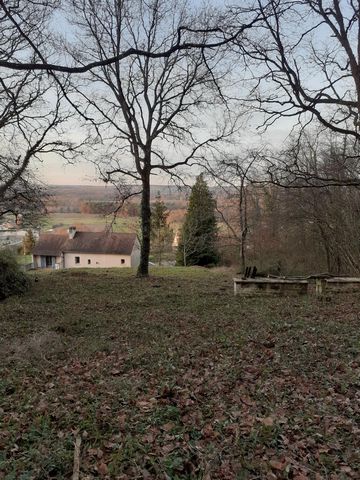 photo no. 9