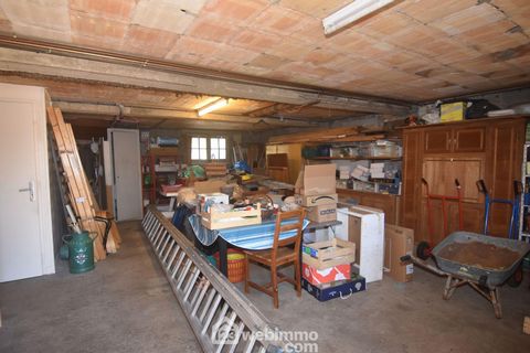 photo no. 19