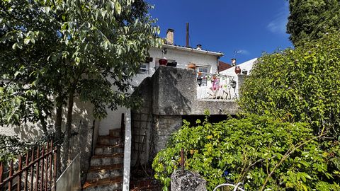 photo no. 2