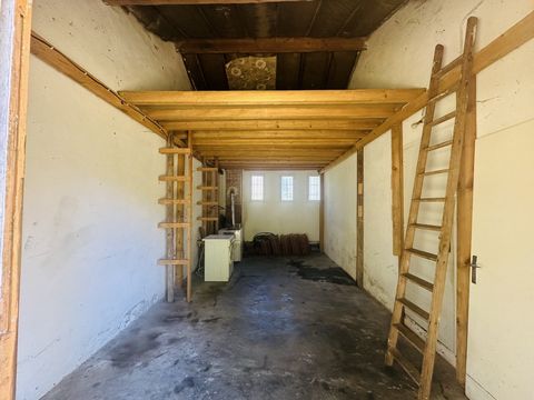 photo no. 14