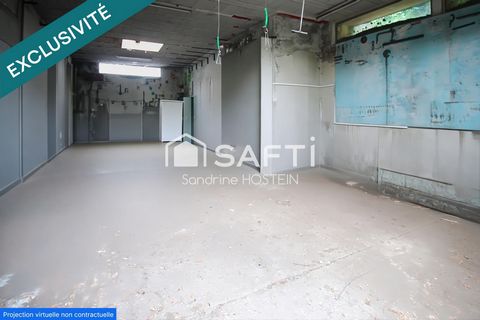 photo no. 15