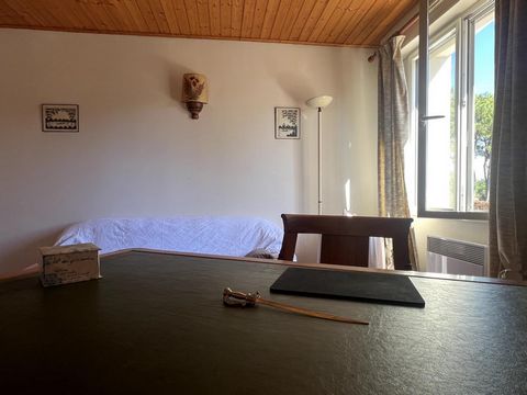 photo no. 8