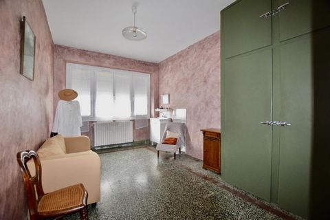 photo no. 8