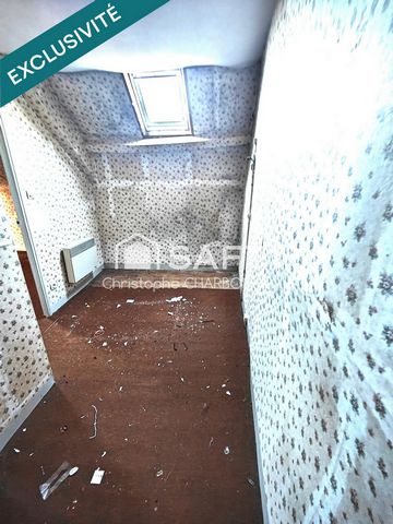 photo no. 11