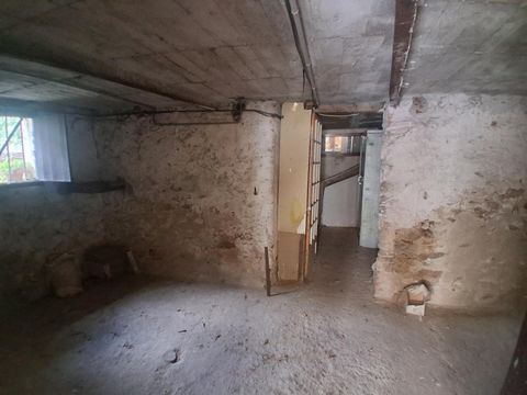 photo no. 6