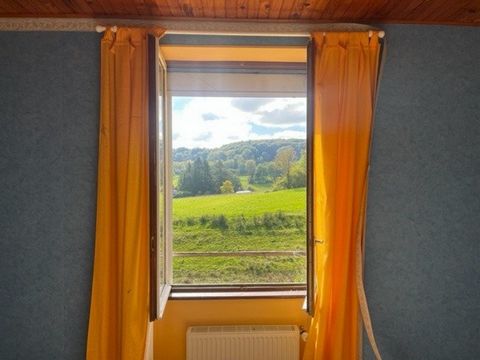 photo no. 13