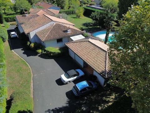 photo no. 3