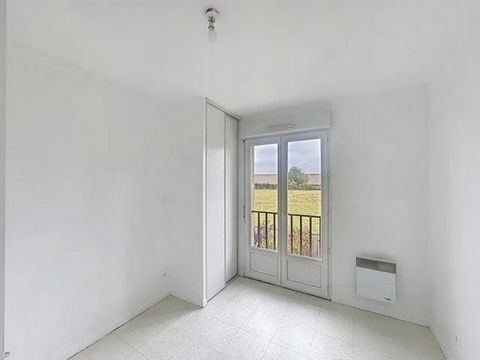 photo no. 9
