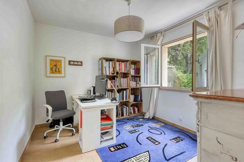 photo no. 16