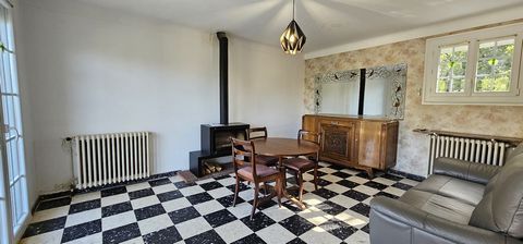 photo no. 9