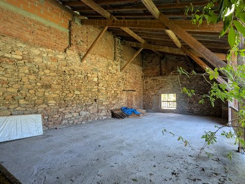 photo no. 11