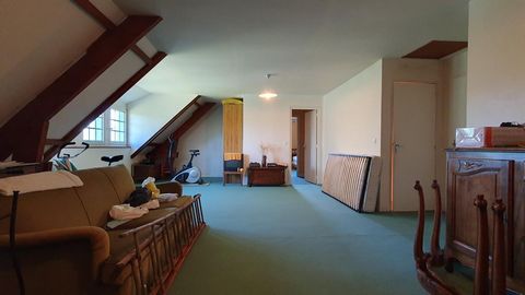 photo no. 13