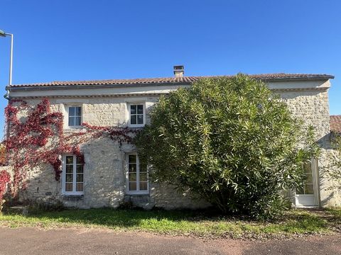 photo no. 9